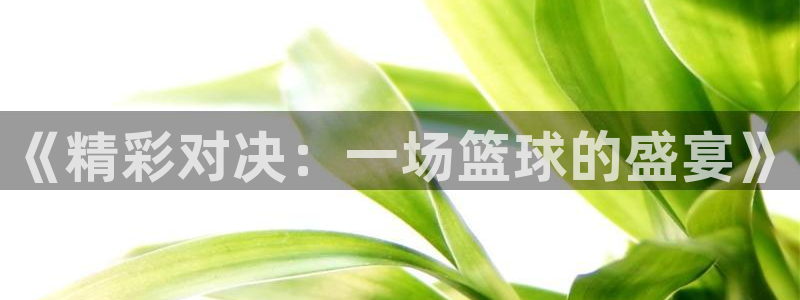 《精彩对决：一场篮球的盛宴》
