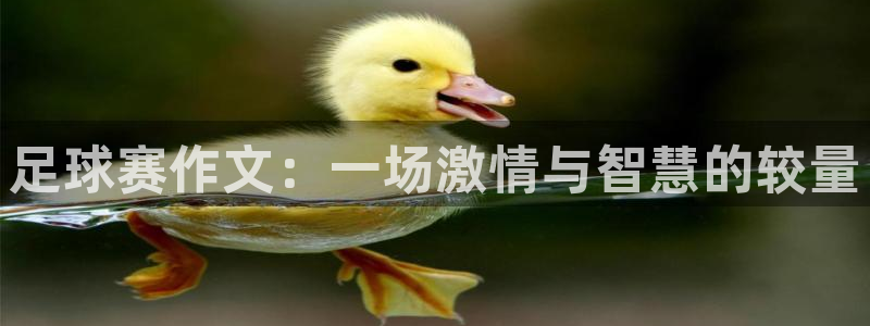 好博体育取钱能出来吗：足球赛作文：一场激情与智慧的较量