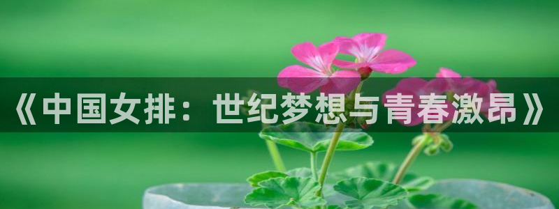 好博体育APP下载入口：《中国女排：世纪梦想与青春激昂》