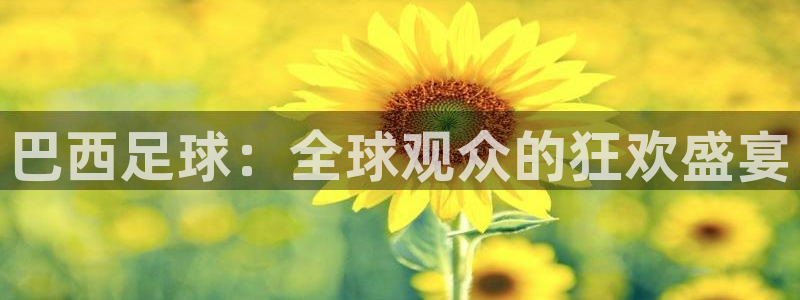 好博体育娱乐：巴西足球：全球观众的狂欢盛宴