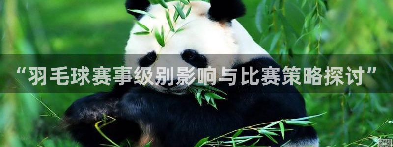 好博体育平台正规嘛：“羽毛球赛事级别影响与比赛策略探讨”