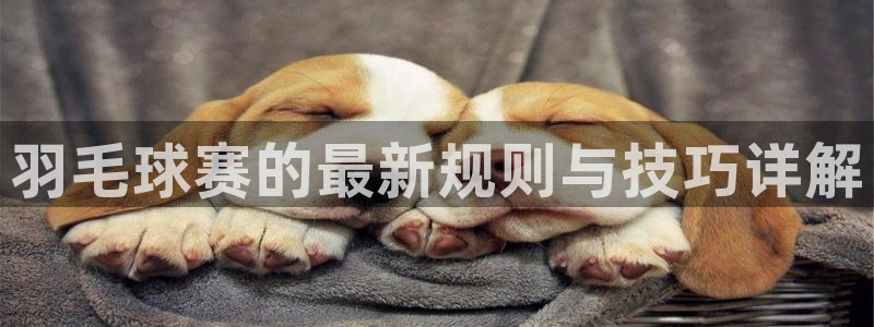 好博体育贴吧：羽毛球赛的最新规则与技巧详解