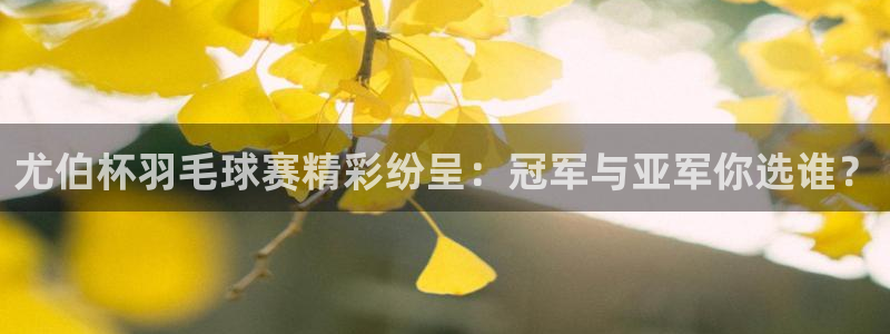 好博体育平台客服电话：尤伯杯羽毛球赛精彩纷呈：冠军与亚军你选