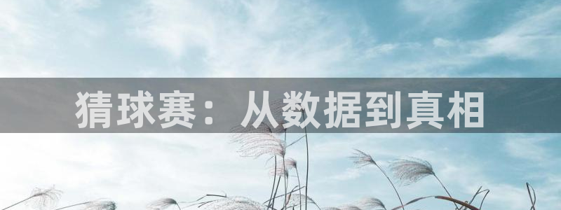 好博体育平台入口：猜球赛：从数据到真相