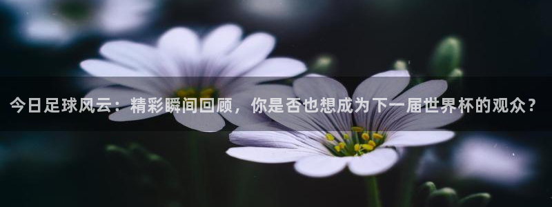 好博体育app下载最新官网入口手机版：今日足球风云：精彩瞬间